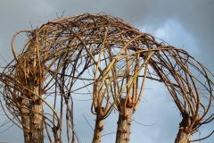 ` Connecting ` bij Natuurpunt Blankenberge