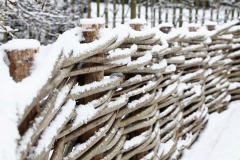 Close-up winterbeeld